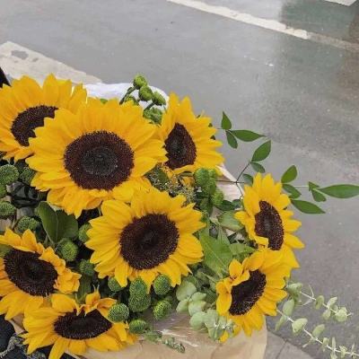 牛牛游戏网手机app下载截图