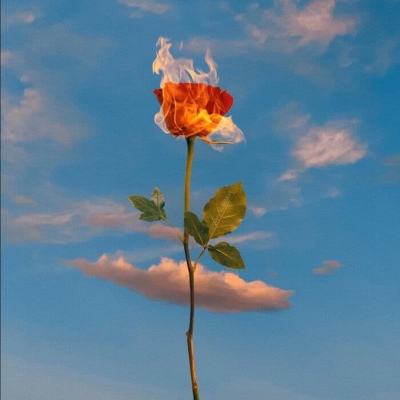 炸金花游戏下载手机版